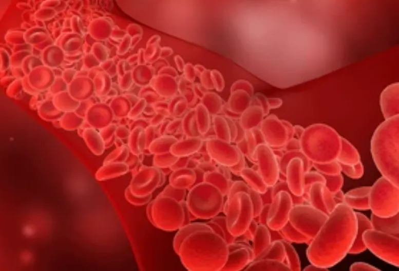 Close-up doctor with stethoscopee