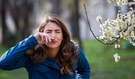 Bersin Tiada Henti: Tanda Alergi atau Infeksi?