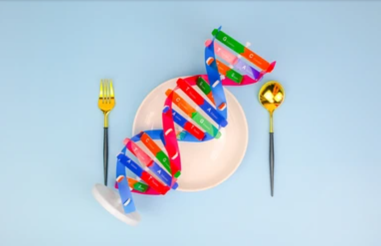 Rahasia Genetik Tubuh: Mengungkap Misteri Obesitas dalam Kode DNA Manusia